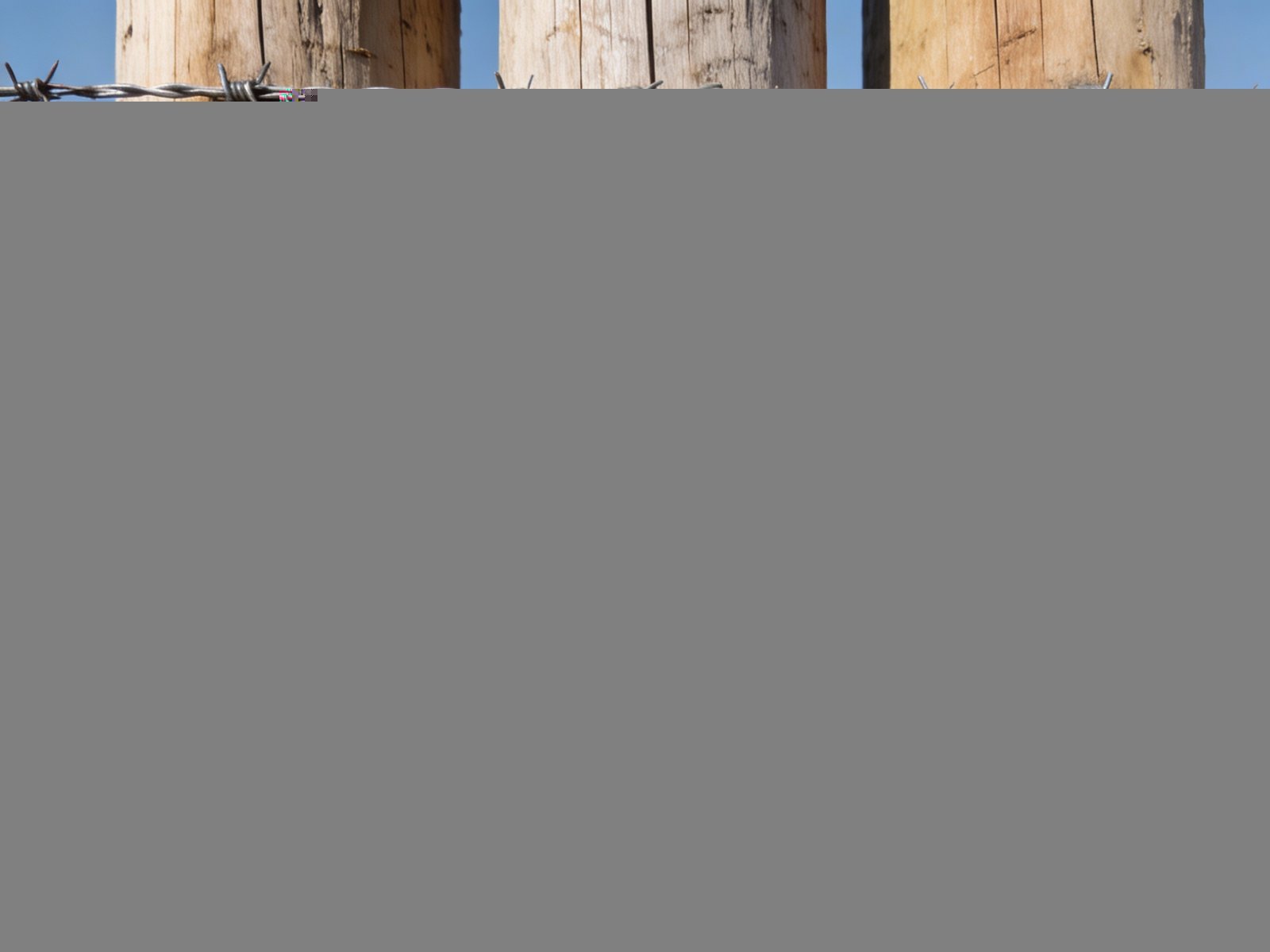 Realistic photo comparison of installed fence materials: barbed wire, woven wire mesh, and high-tensile smooth wire on posts, no text overlays